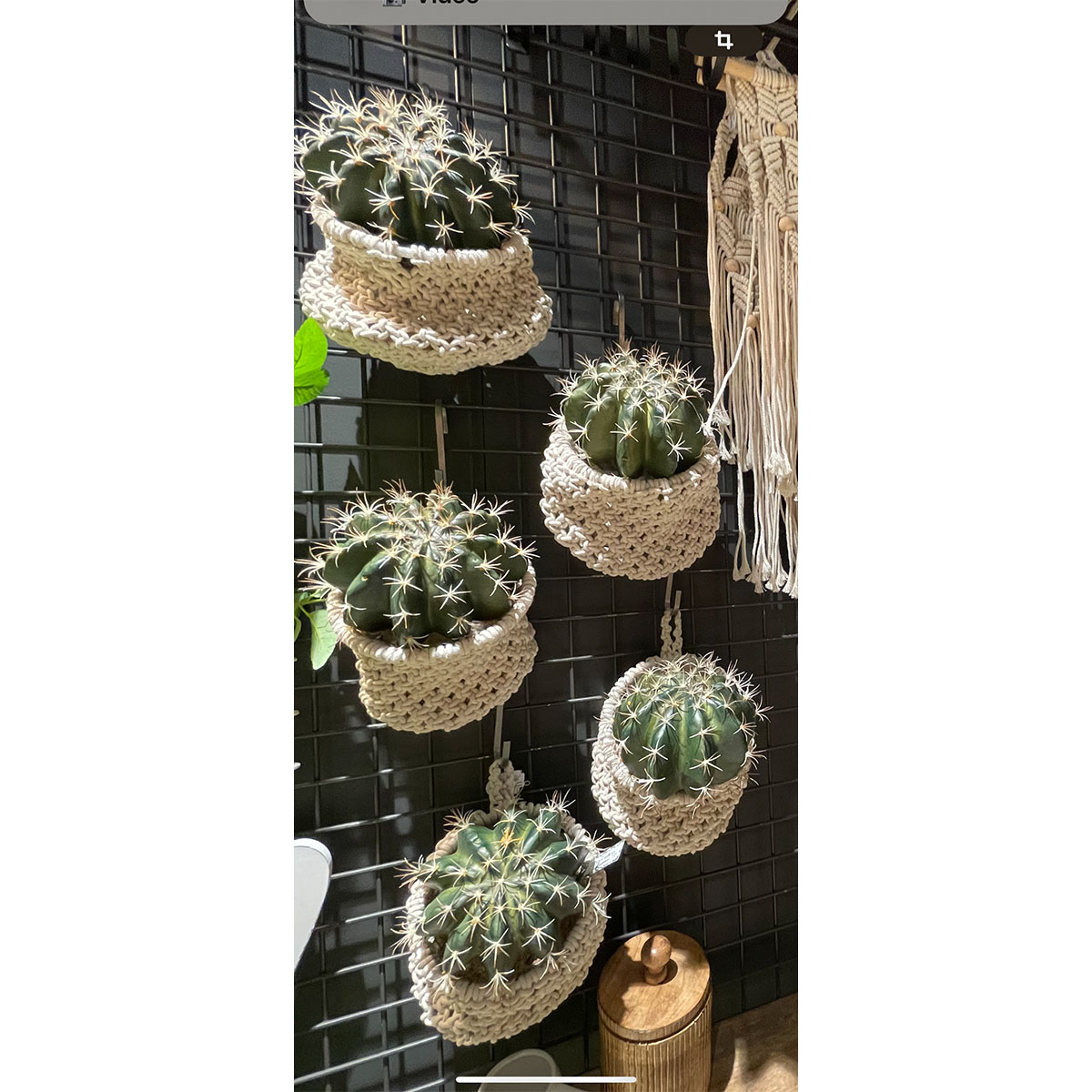 01429_01J8A7AYSPQMXWHQWS6KFMXG23tKrMmCFJptwOK