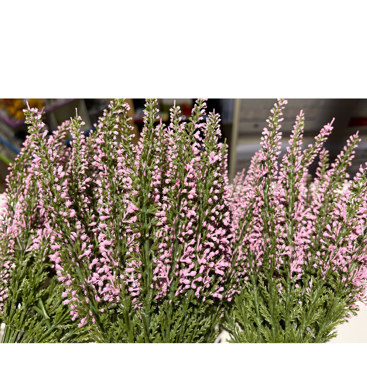 Kunstpflanze Erika, Erika calluna fuchsia, 26cm, Pick, DPI