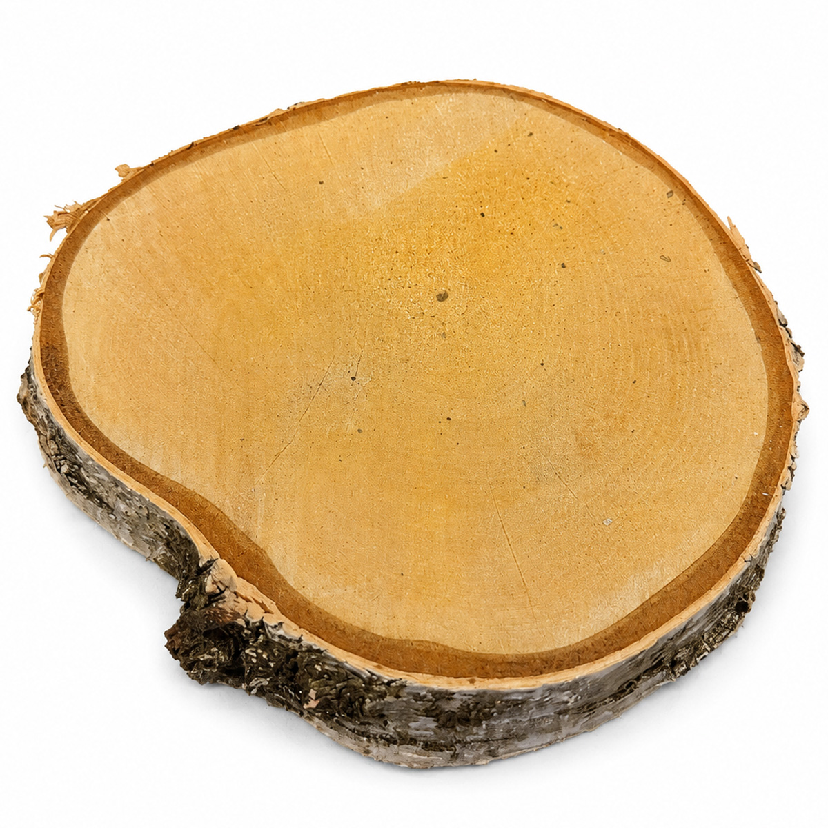 Naturholzscheibe Birke, Birkenscheibe natur, Ø15cm