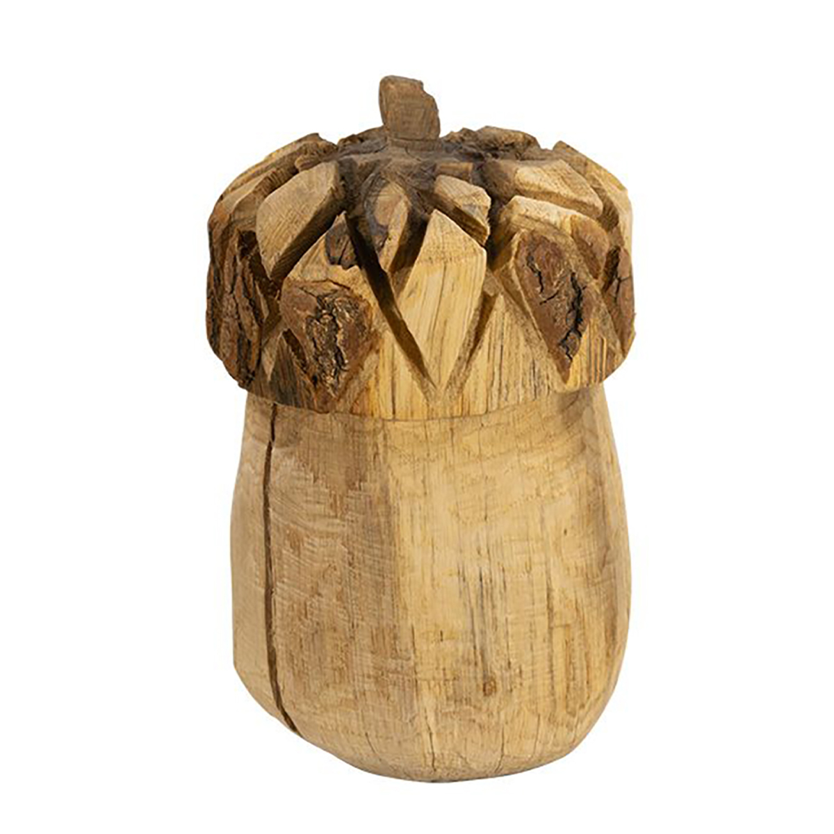 Deko Eichel Natur, Eichel aus Naturholz, 25cm, WMG Grünberger