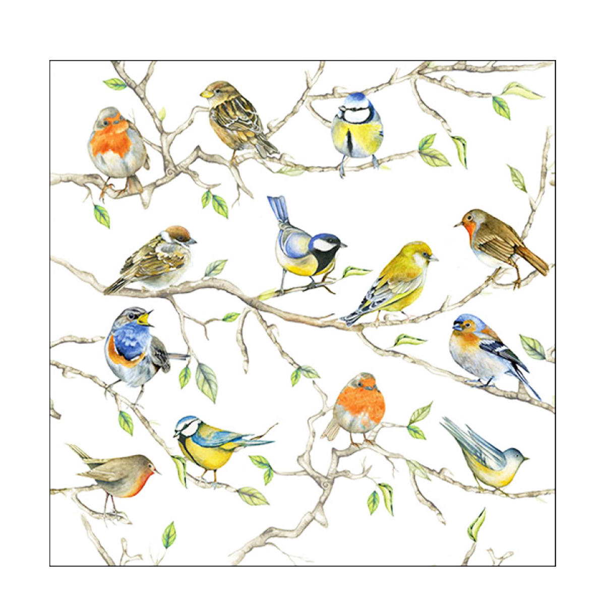 13314975_01JNVD0MBB9DBNV31F15JV48MZ3EnAXvuNo3VxJ