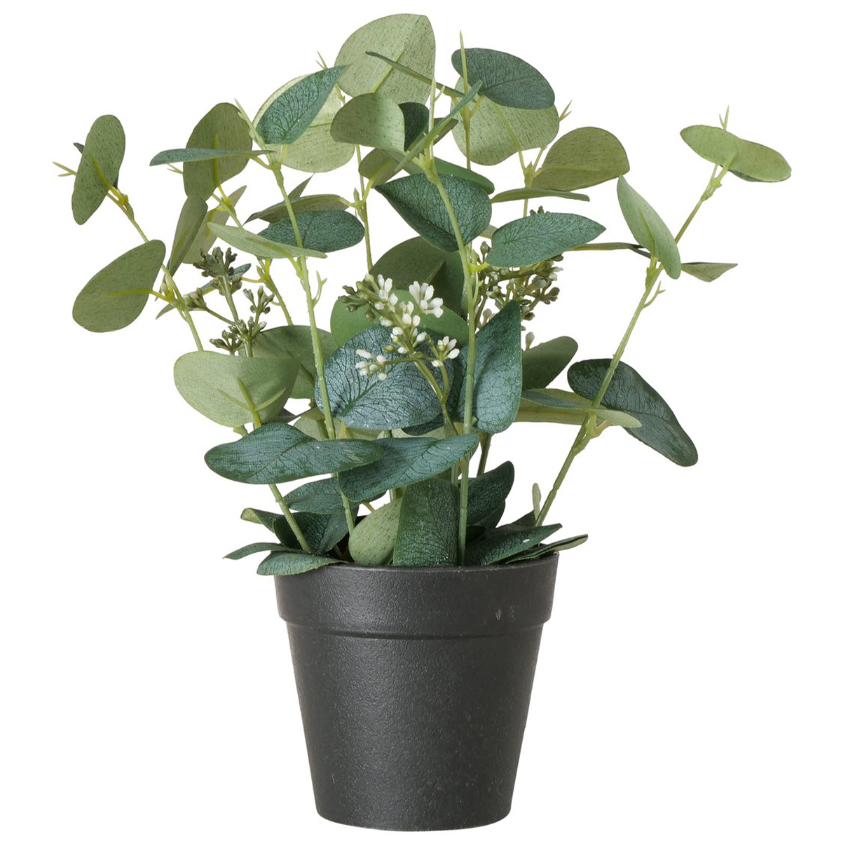 Kunstpflanze Eukalyptus im Topf, 30cm, Boltze Home Collections