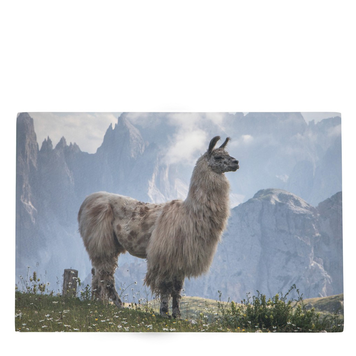 Textil Fussmatte Alpaka in den Bergen, 75x50cm, Mars & More