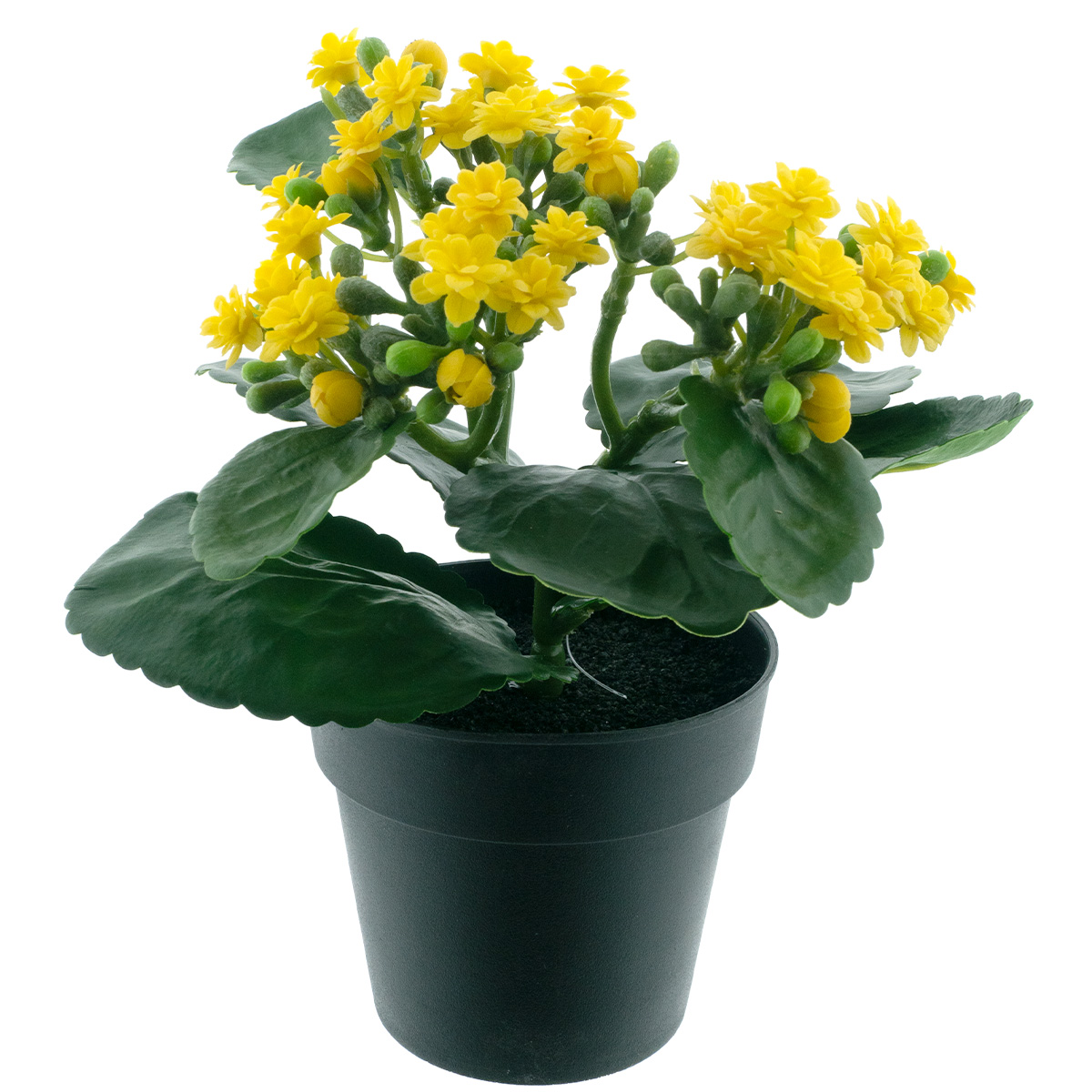 Kunstpflanze Flammendes Käthchen gelb, Kalanchoe im schwarzen Topf, 20cm
