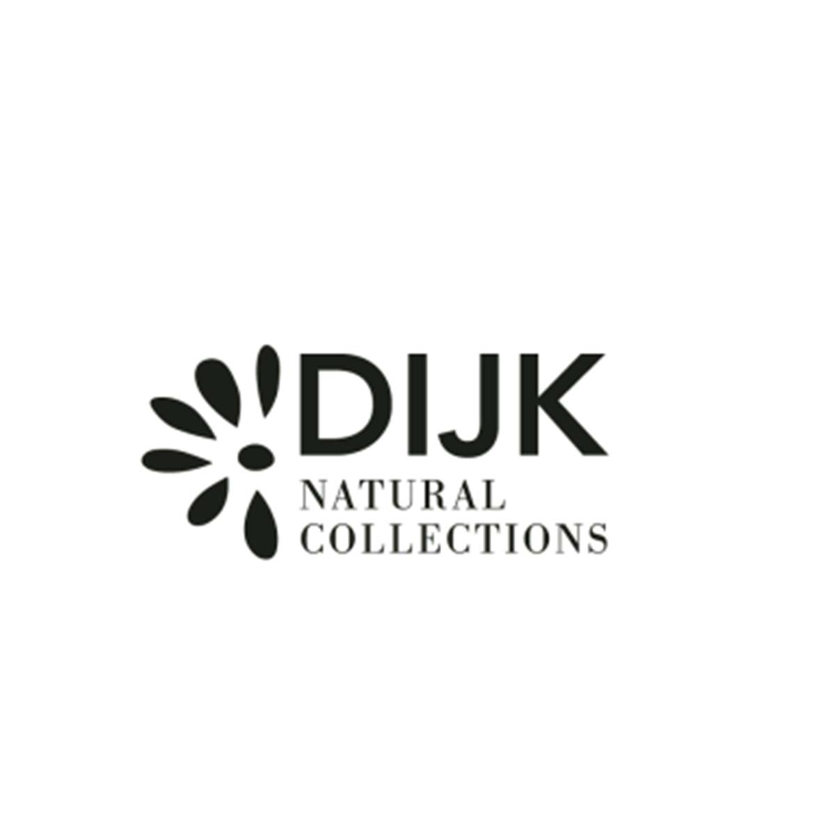 Logo-DIJKB3QjfstvldByq
