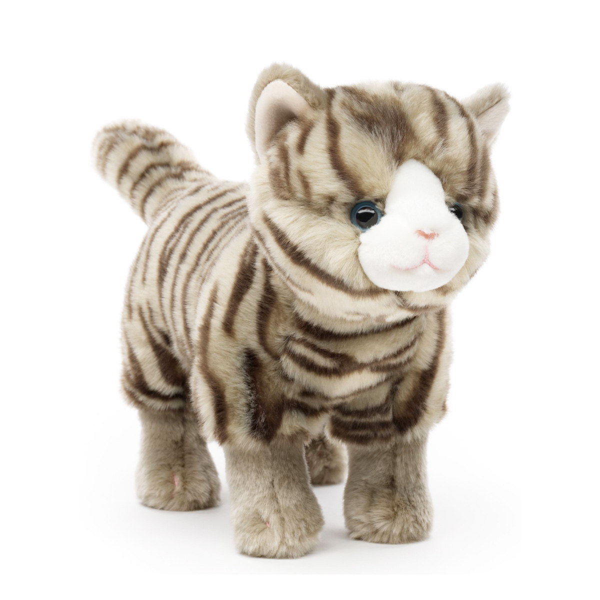 P30234-1_01J562T1G7PP9ZTKECGTB5RK545ARfrybDBXF0x