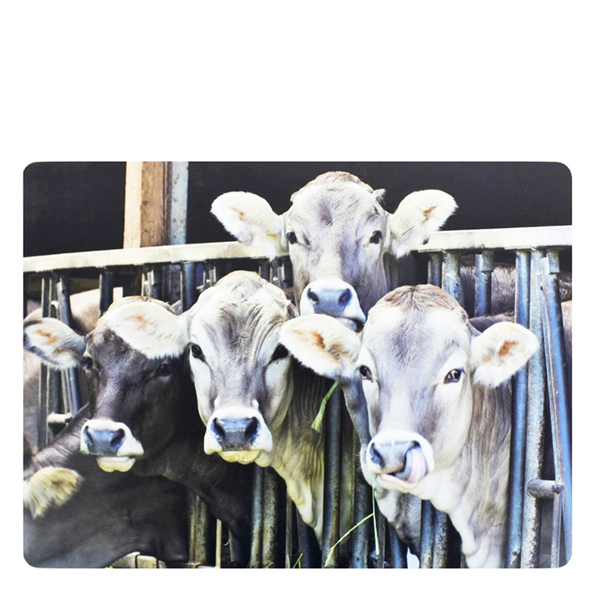 Tischset Kuh, Kälber im Stall, 40x30cm, MDF-Kork, Mars & More