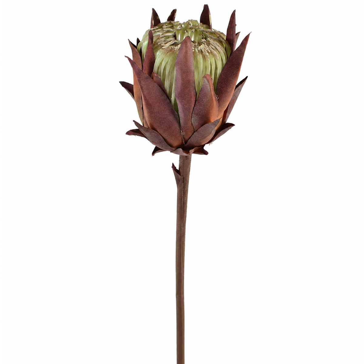 Kunstpflanze Artischocke burgund, 50cm