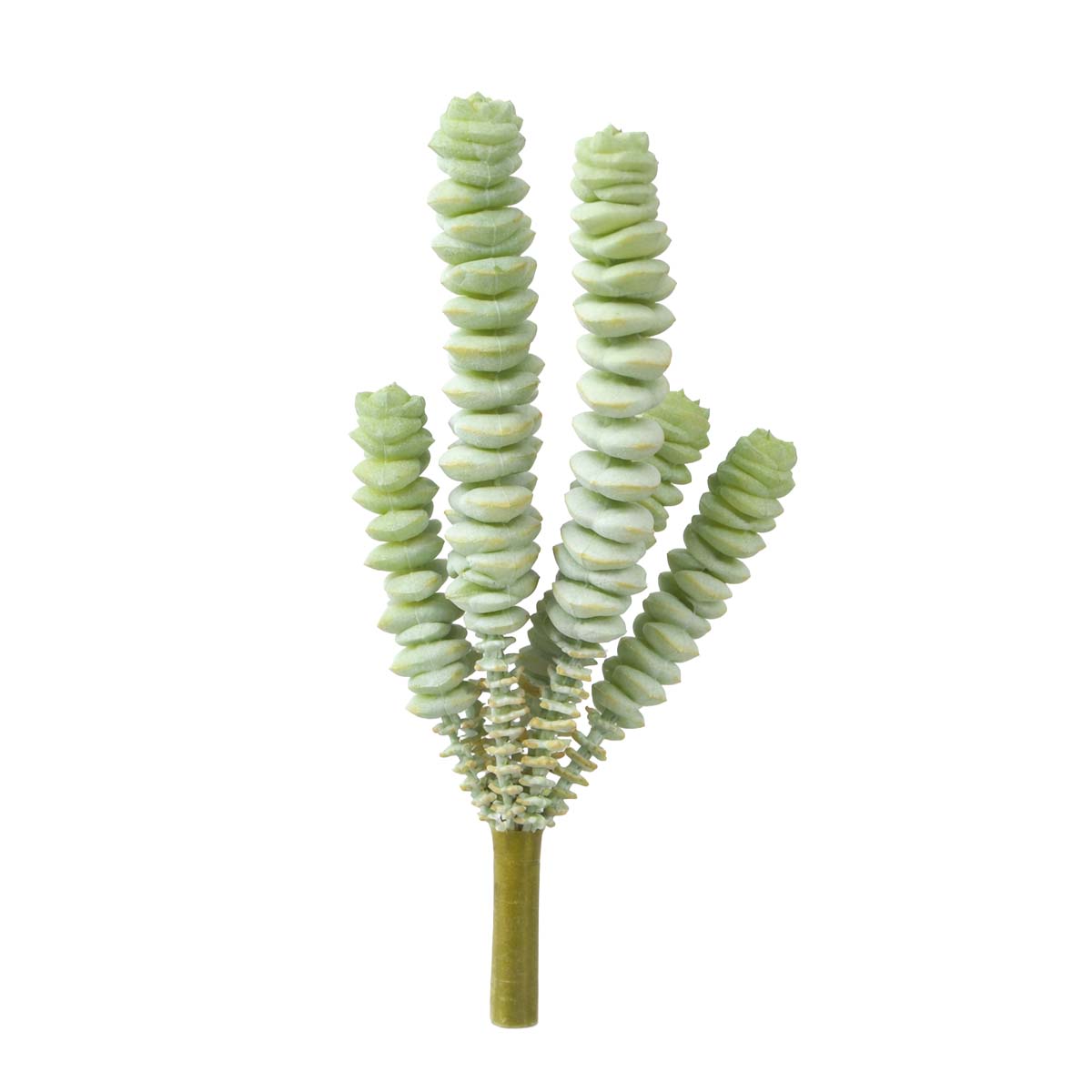 Kunstpflanze Succulente weißgrün, Sukkulentenpick wie echt, Fingersukkulente, 18cm