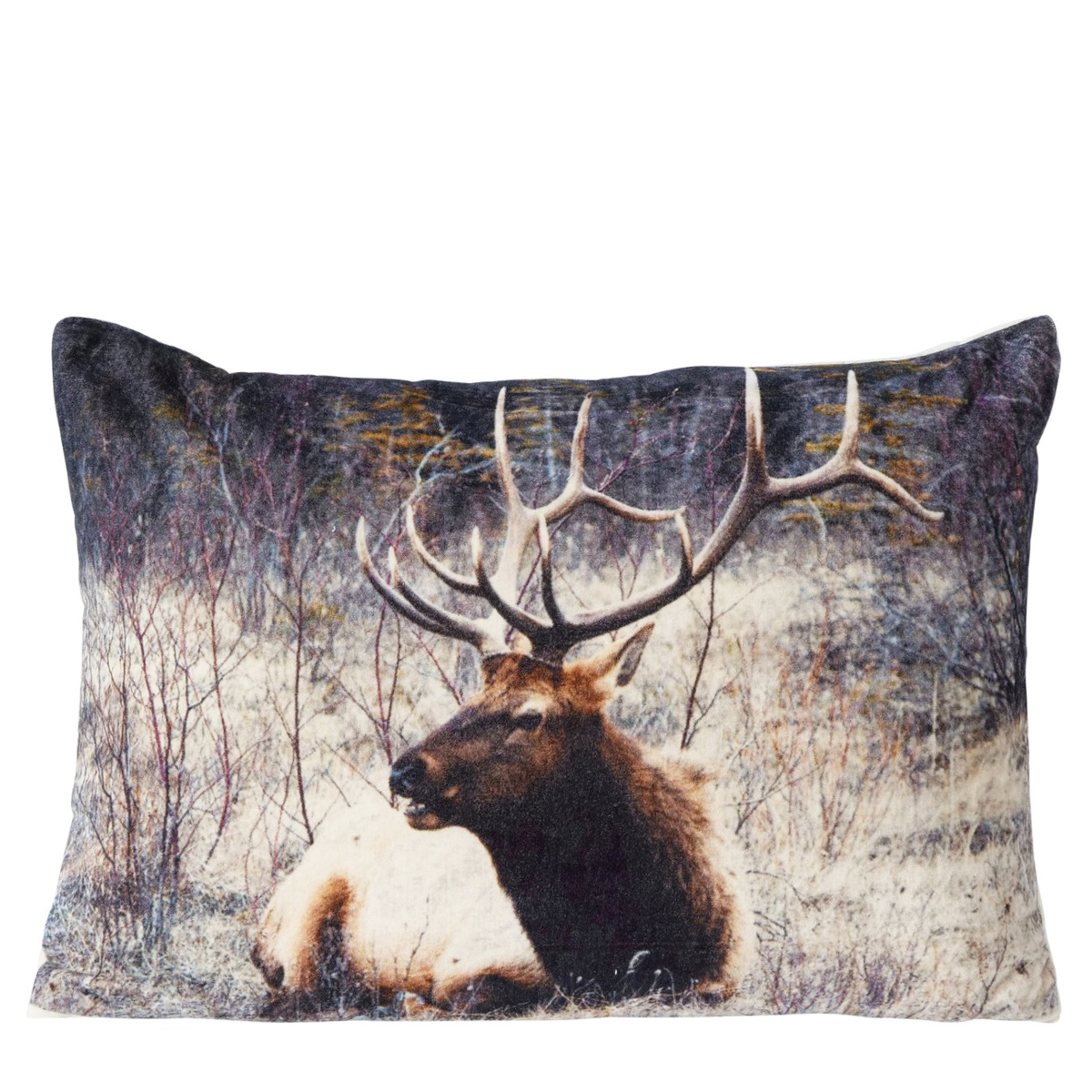 2015576-2_01J82P7HZ39XM8R4B31AGY3NDBFVDfVYw1fQuI2 Deko Kissen Hirsch Palco, Samtkissen Winterhirsch liegend, 40x60cm, Boltze Home Collections
