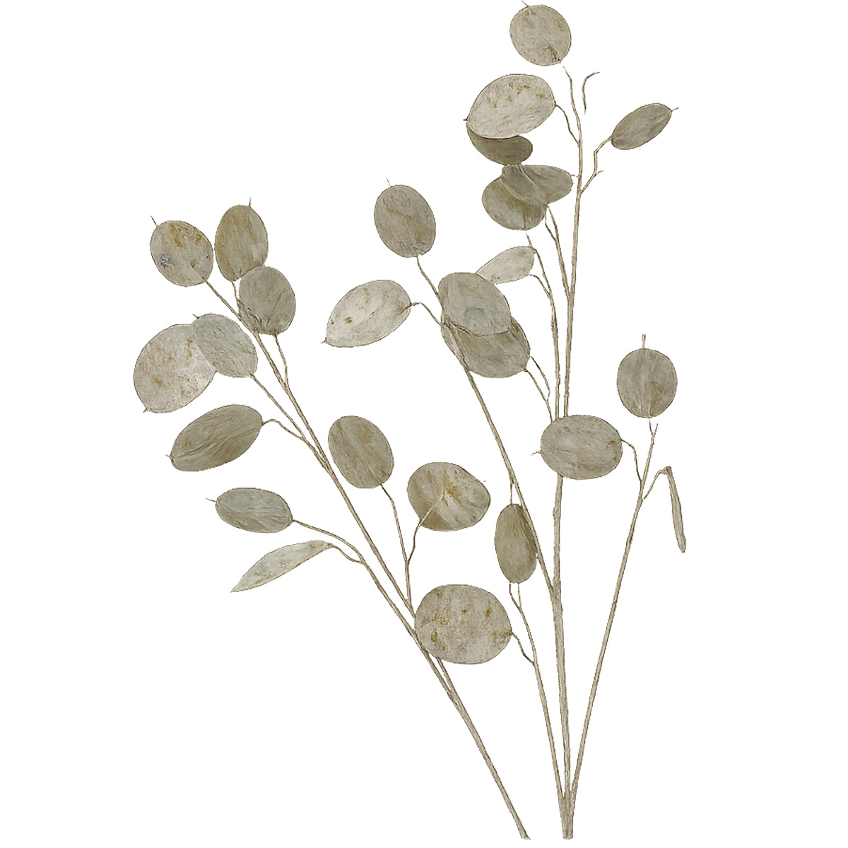Dekozweig Silberblatt grün, 90cm, Boltze Home Collections