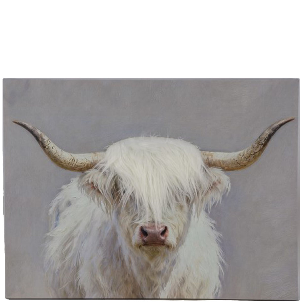 Kanevas-Bild Yak, Schottisches Hochlandrind weiß-grau, 80x60cm