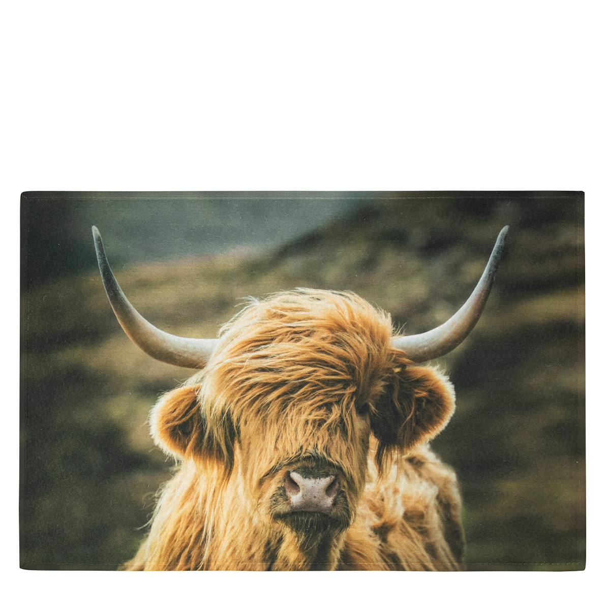 Textil Fussmatte Kuh, Schottisches Hochlandrind im Wind, 75x50cm, Mars & More