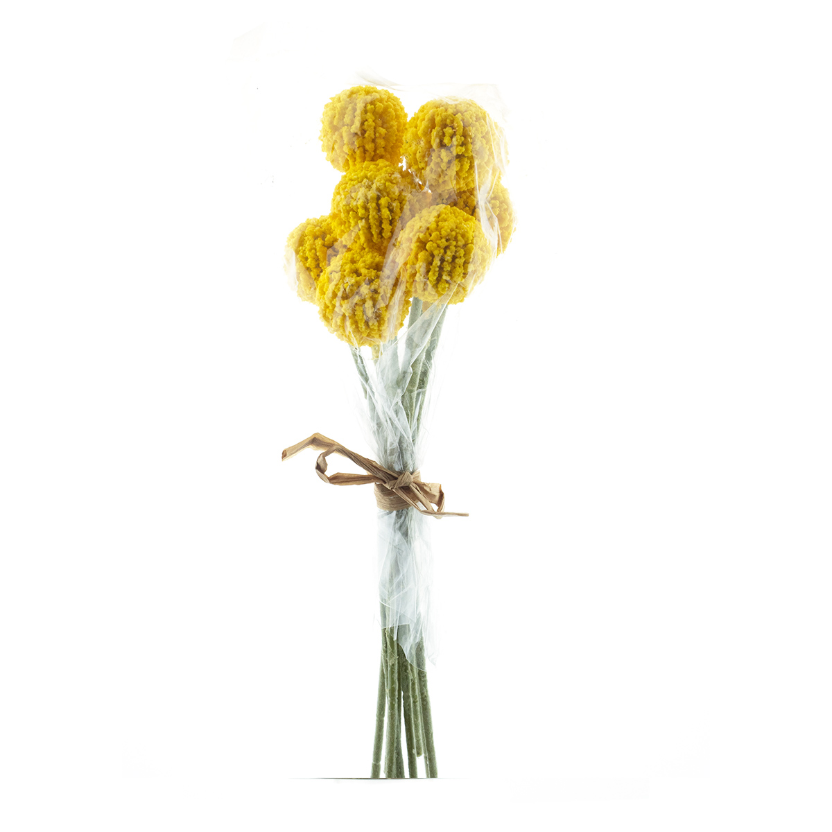 Kunstpflanze Trommelstöckchen gelb, 9 St. Crespedia im Bund, 28cm