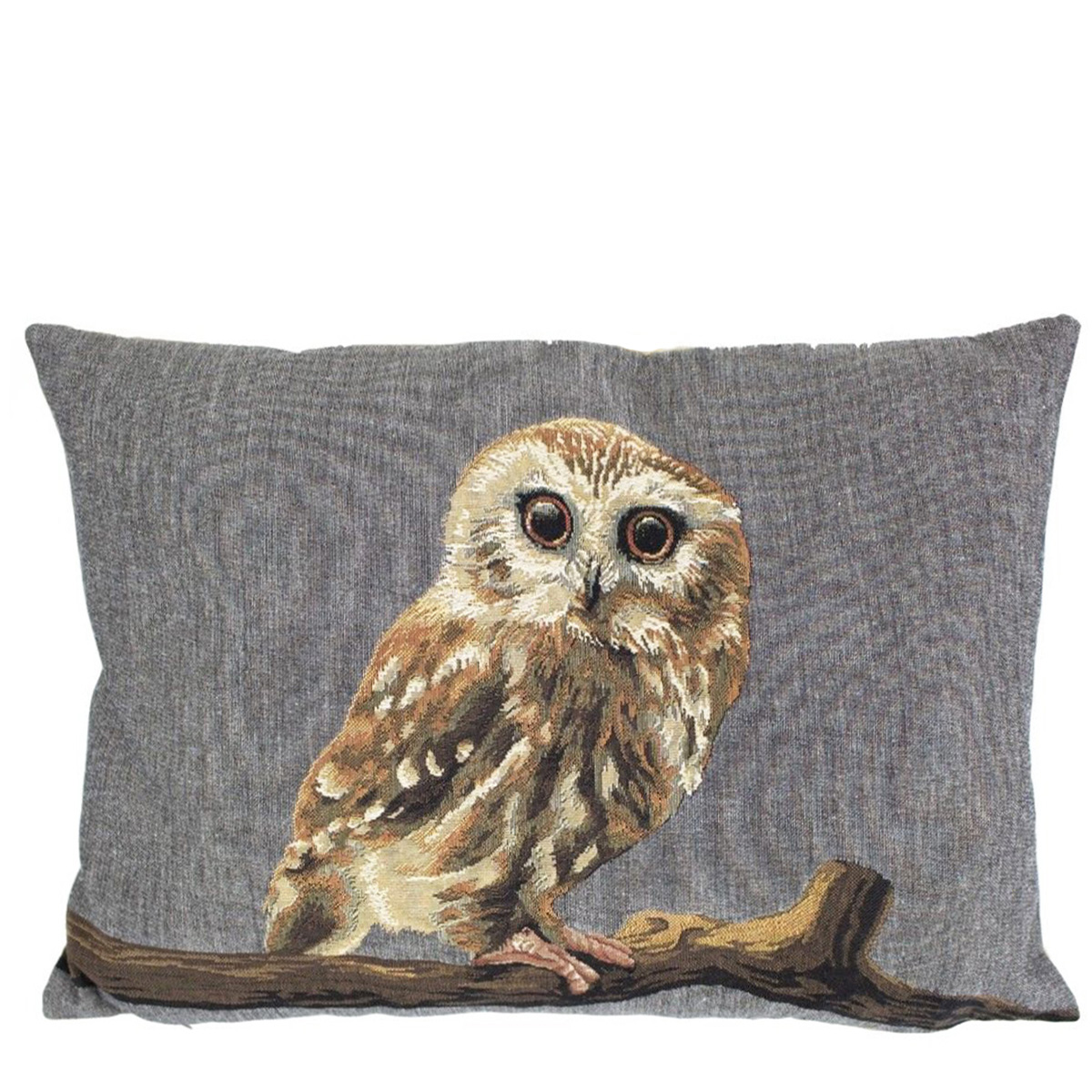 EVHKGSU-Kopief4LoRAQn26NWQwAFlcywsgpoE8