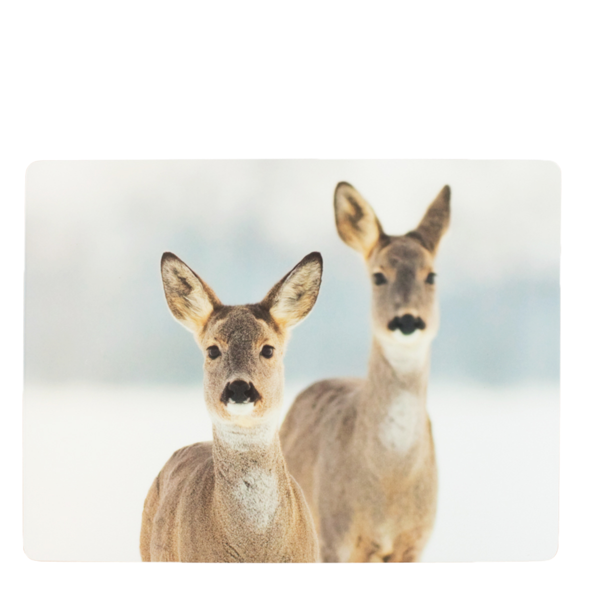 Tischset Reh, 2 Rehe im Winter, 40x30cm, MDF/Kork, Mars & More