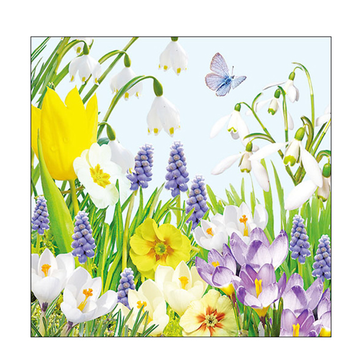 Ambiente Papierservietten Frühling - Frühlingsblumen und Schmetterling, Spring Time, 33x33cm