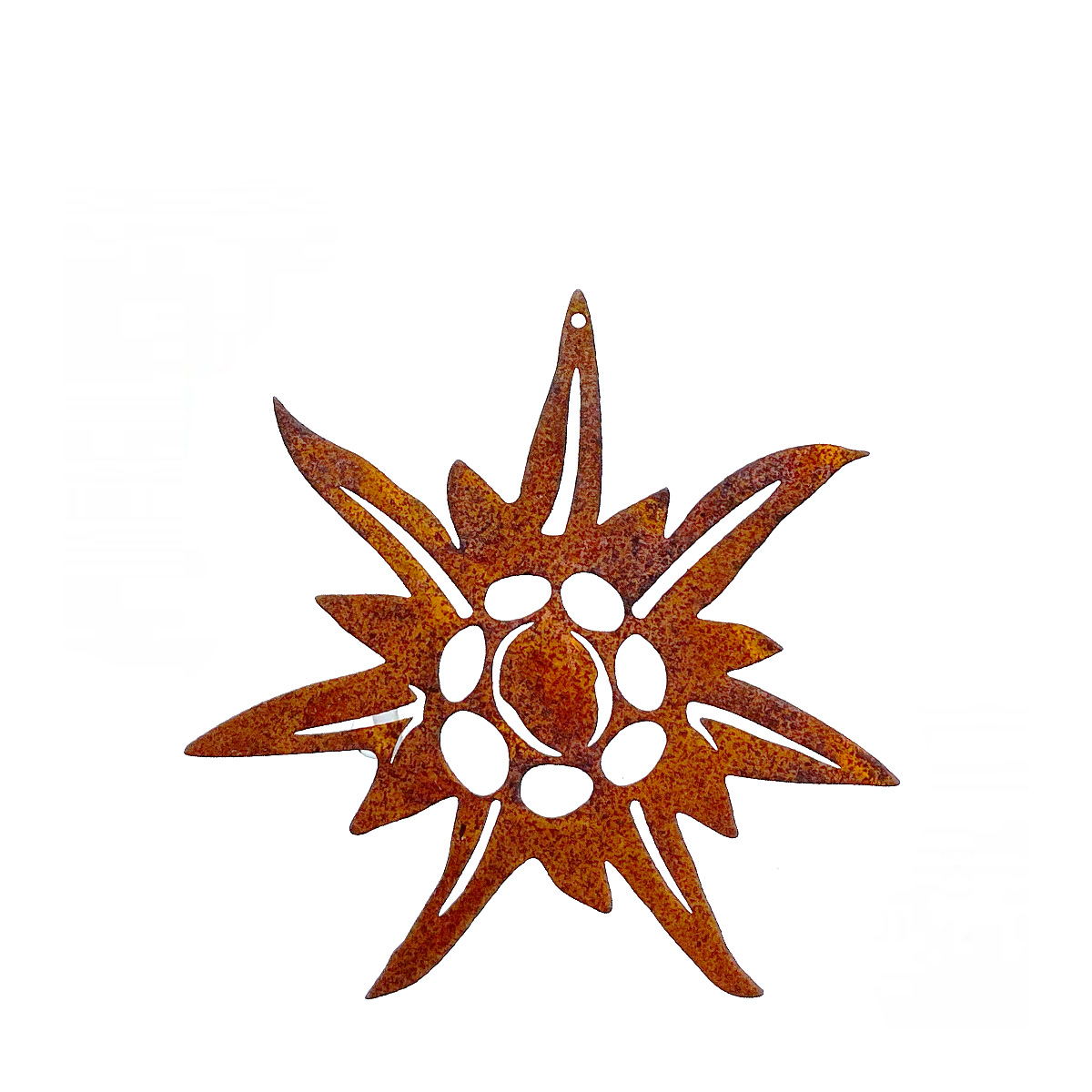 162543_01J3T2HSYS216FED9322W14CKWTz1O0kh1EeUaE