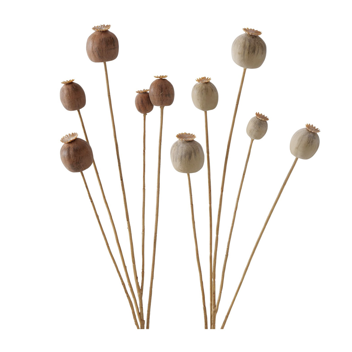 Dekozweig Mohnkapseln braun oder creme, 76cm, Boltze Home Collections