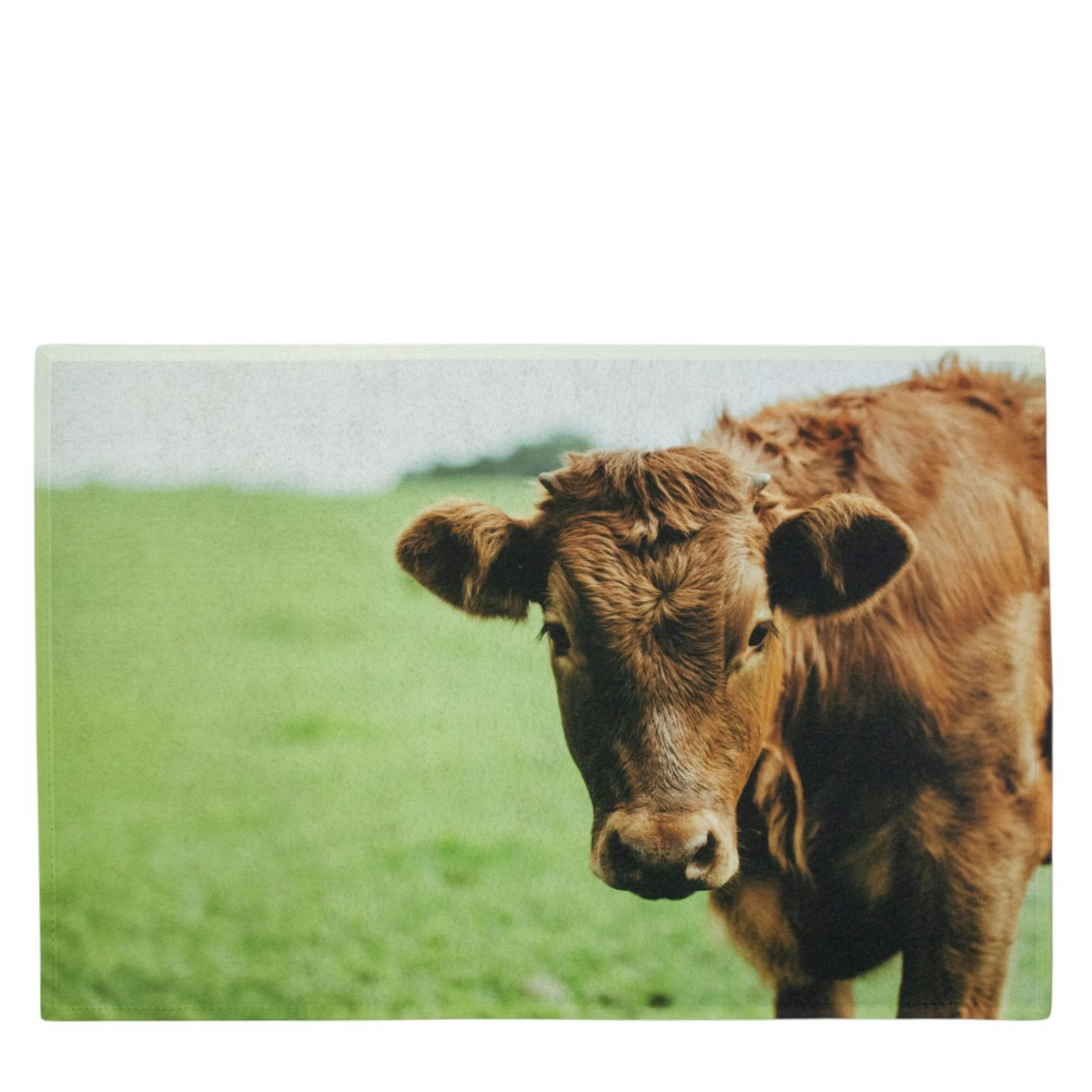 Textil Fußmatte Schweizer Kuh, Kuh auf Wiese, 75x50cm, Mars & More