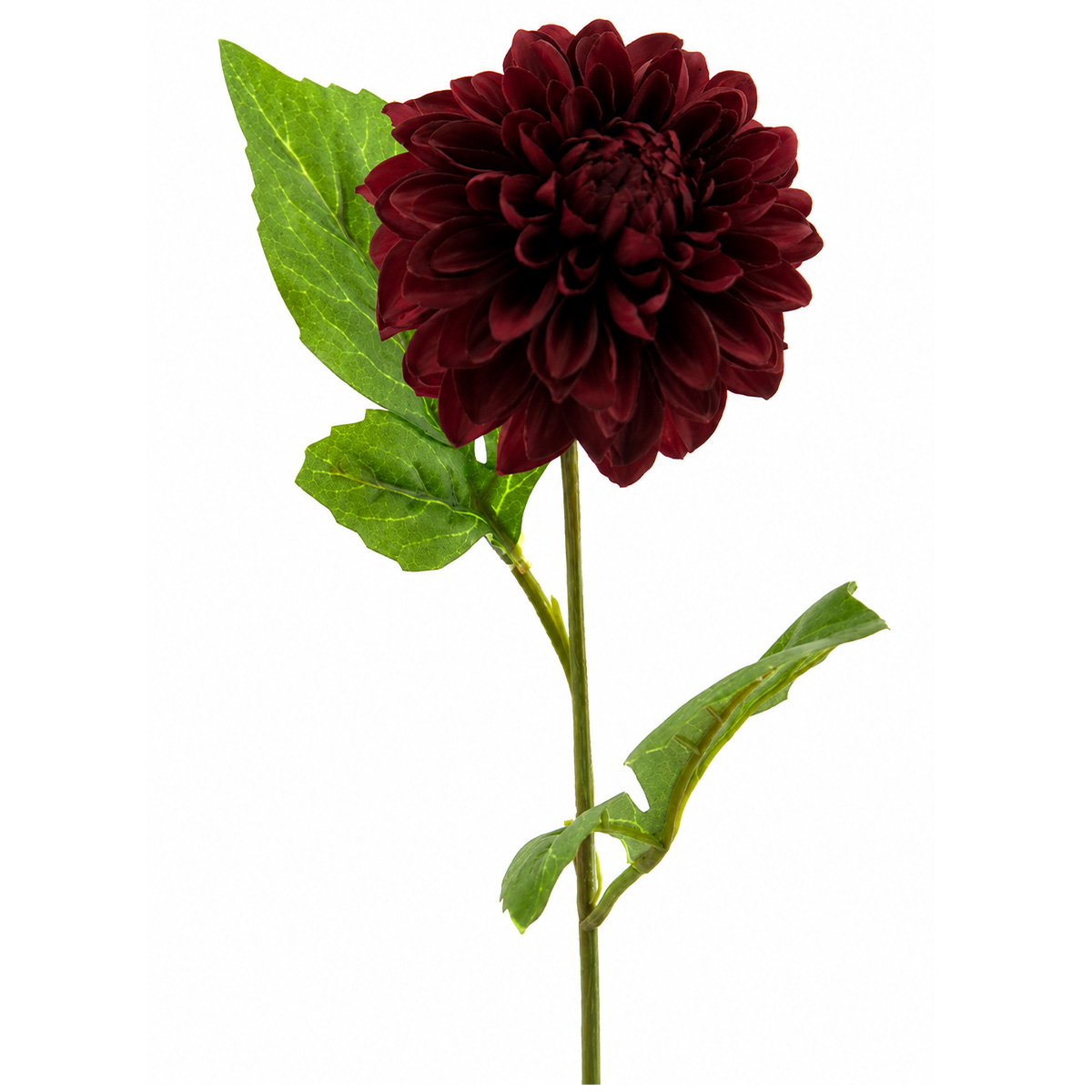Kunstpflanze Dahlie bordeaux, 50cm