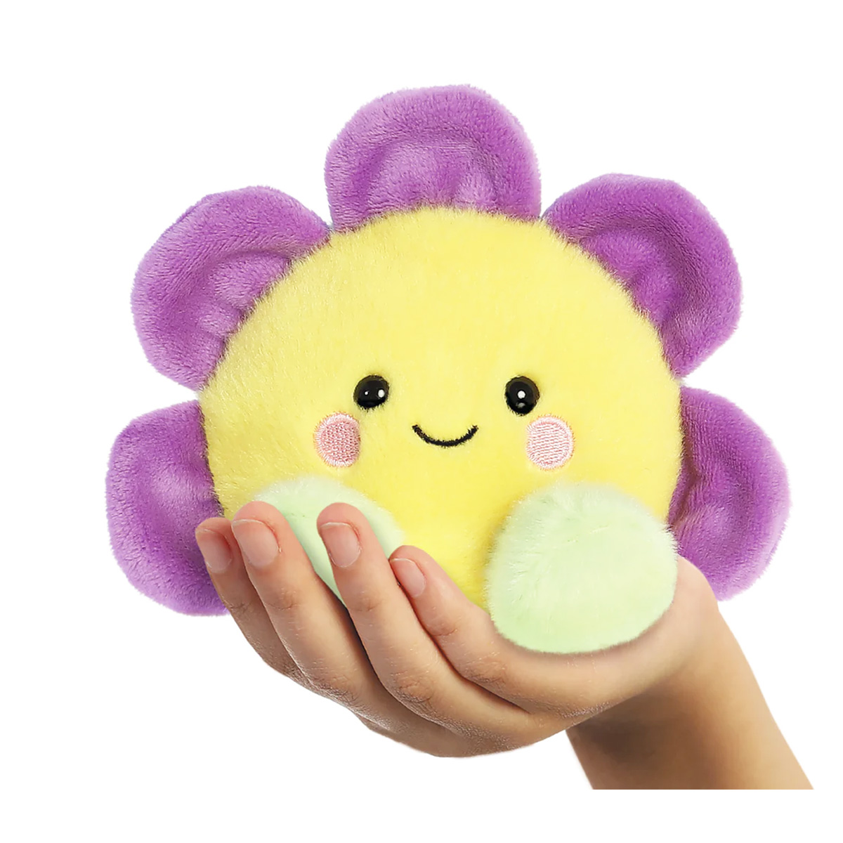 33778_01J09AMNGXA8ZG1YSV54E4AJ955K8FIoKNrs24t