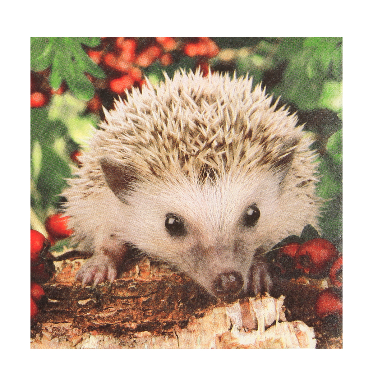 Home Fashion Papierservietten Igel Barnie, 33x33cm
