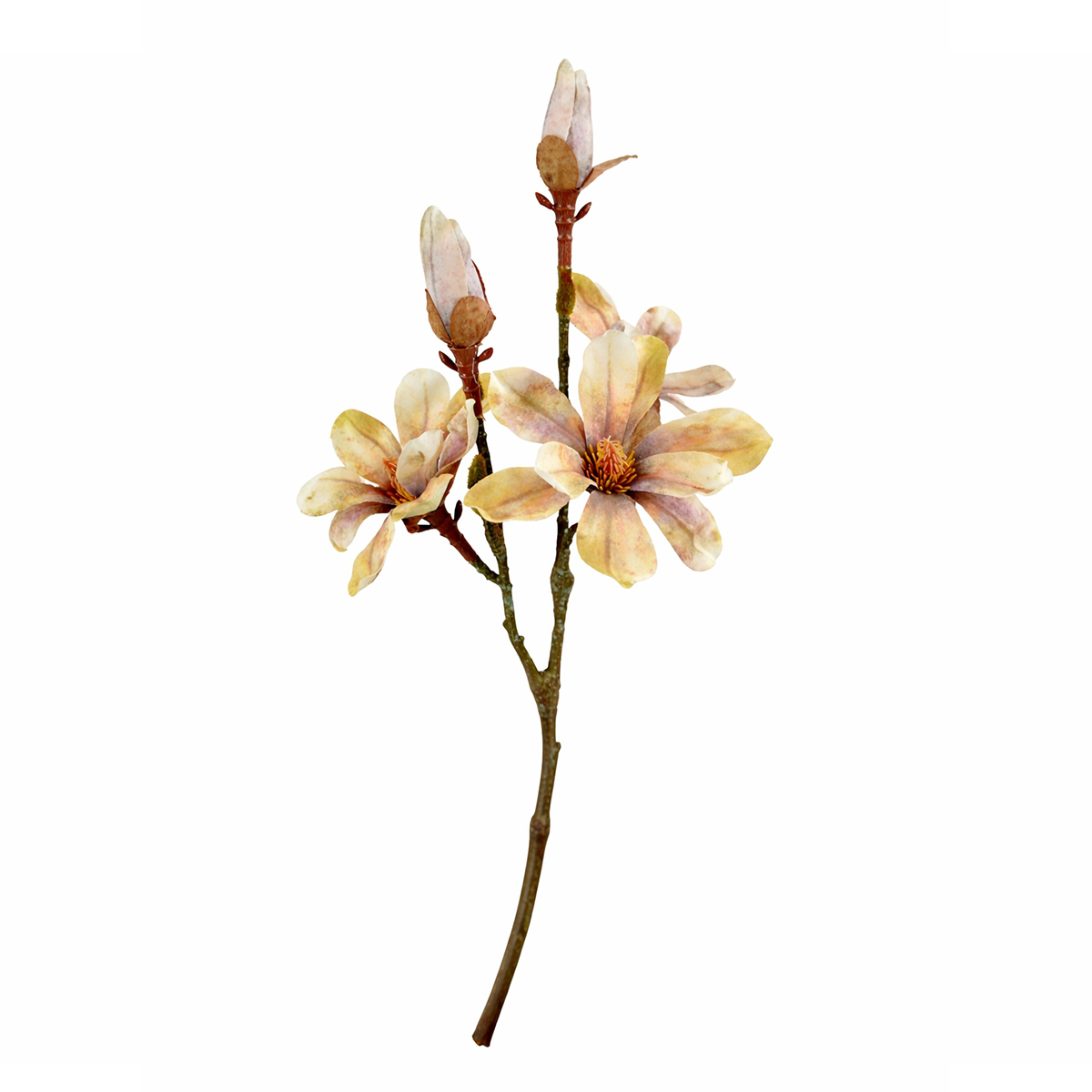 Kunstpflanze Magnolie braun, Magnolienzweig wie echt, 55cm
