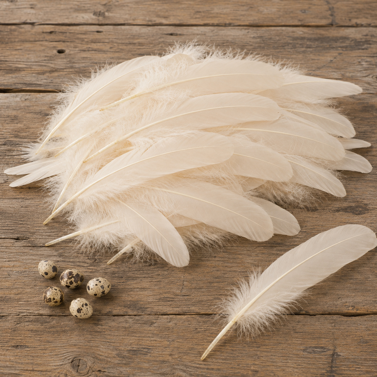 Natur Federn Champagner-Weiß, 20cm, 20g/Beutel