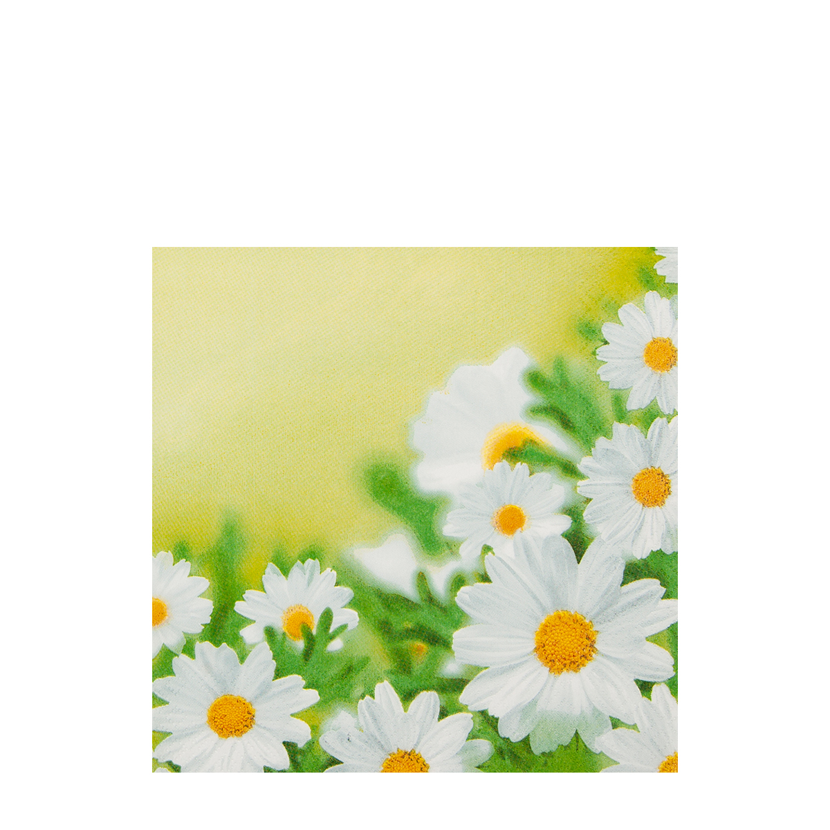 Home Fashion Papierservietten Wiesenblumen, weiße Margeriten, 25x25cm