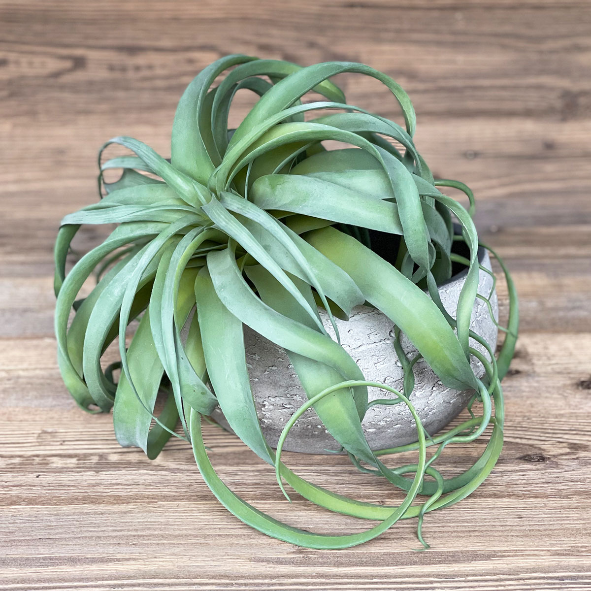 SW154793rSKvfnBMnE9P