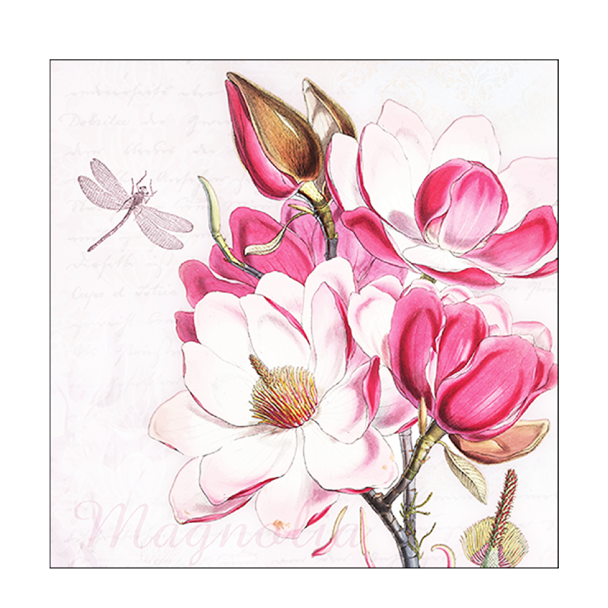 13315865_01J153W6R50CP9V4BZW578RTRZfS7NCn6e4eGbz Ambiente Papierservietten Magnolien und Libelle, 33x33cm