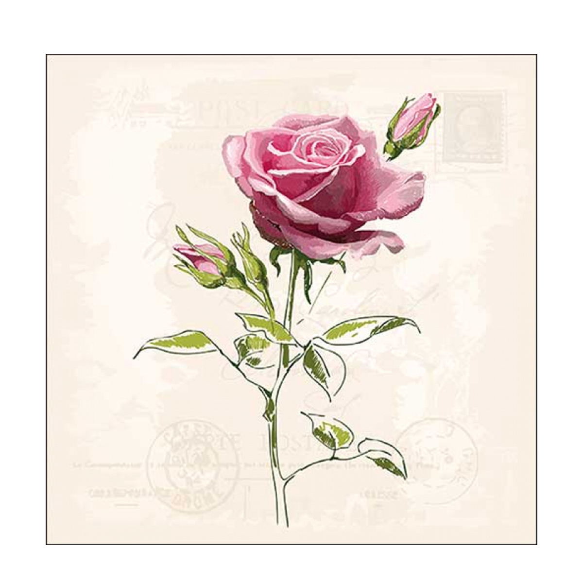 13316360_01JTNMDVJNQ8SX9WXY7YK0WVHVLRvSZZNNat3gH Ambiente Papierservietten Rose, Vintage rose, 33x33cm
