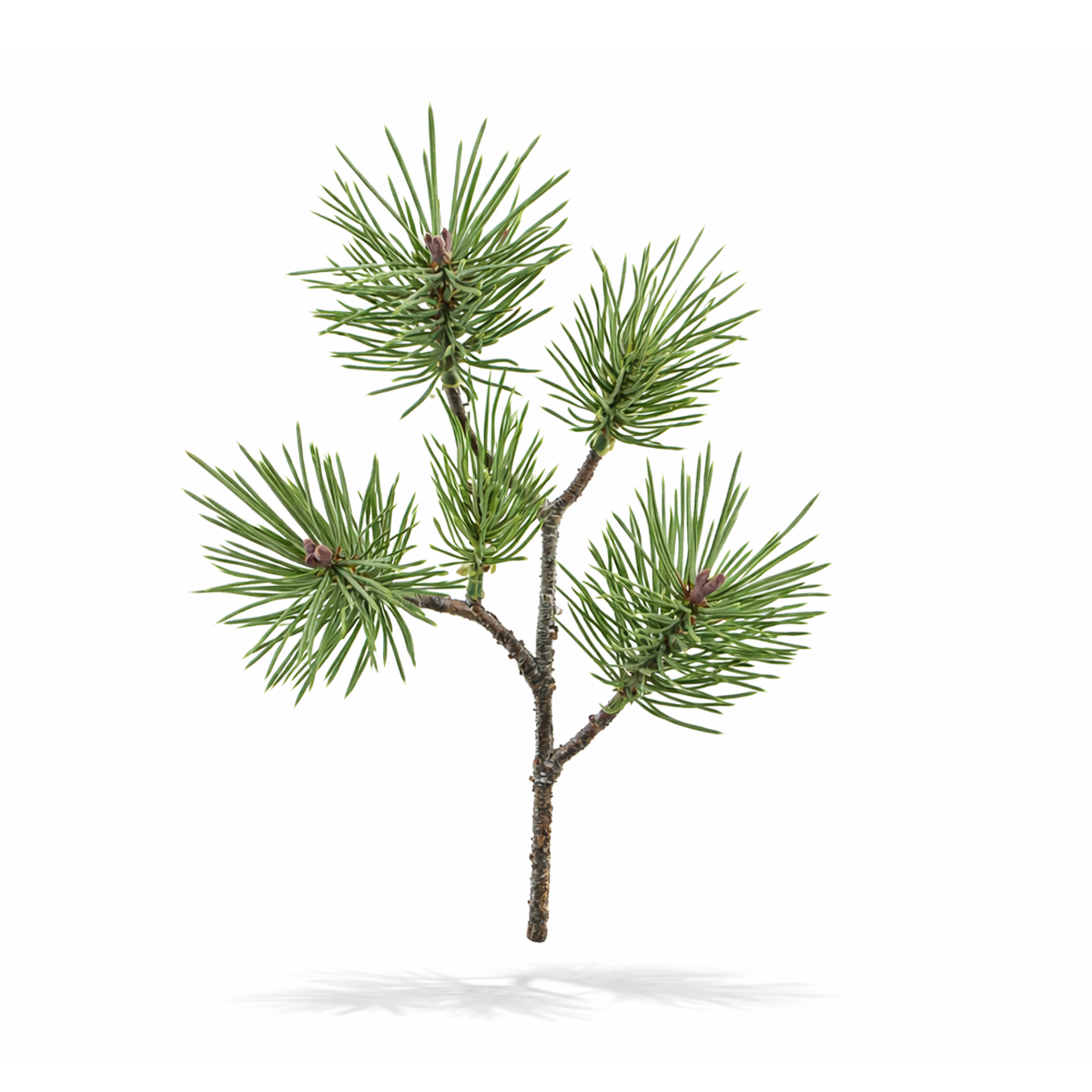 Kunstpflanze Kiefer, Kiefernzweig wie echt, 31cm