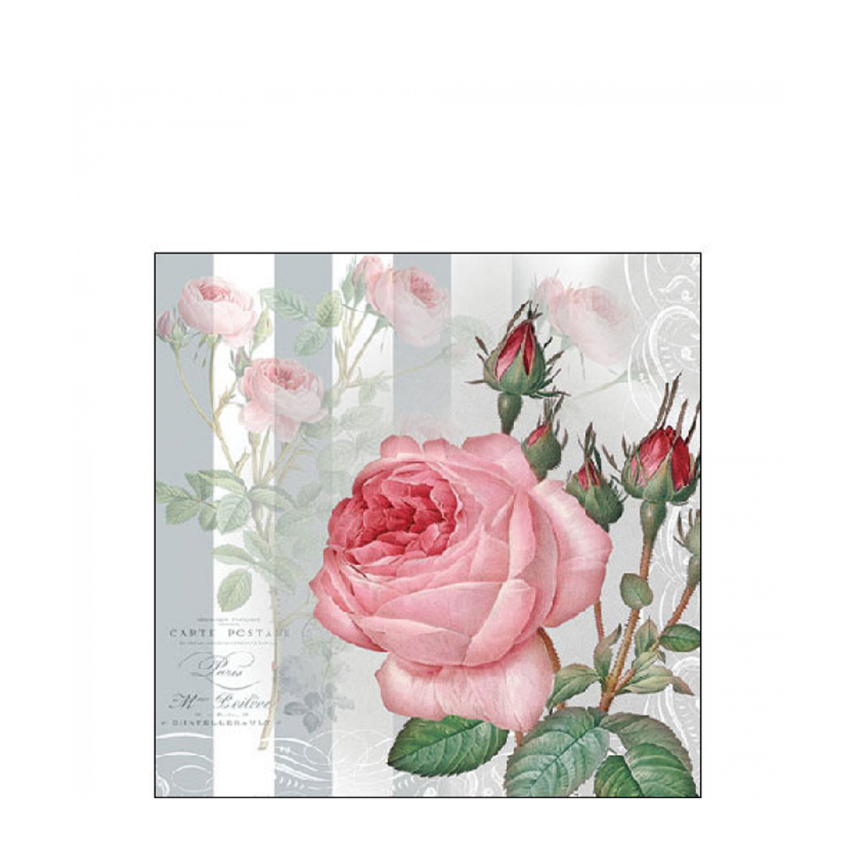 12519565_01JTN7EWDWZJ1WAV2E9JKZ5Q7G95I31tPFkfBpx Ambiente Papierservietten Rosen Yara, 25x25cm