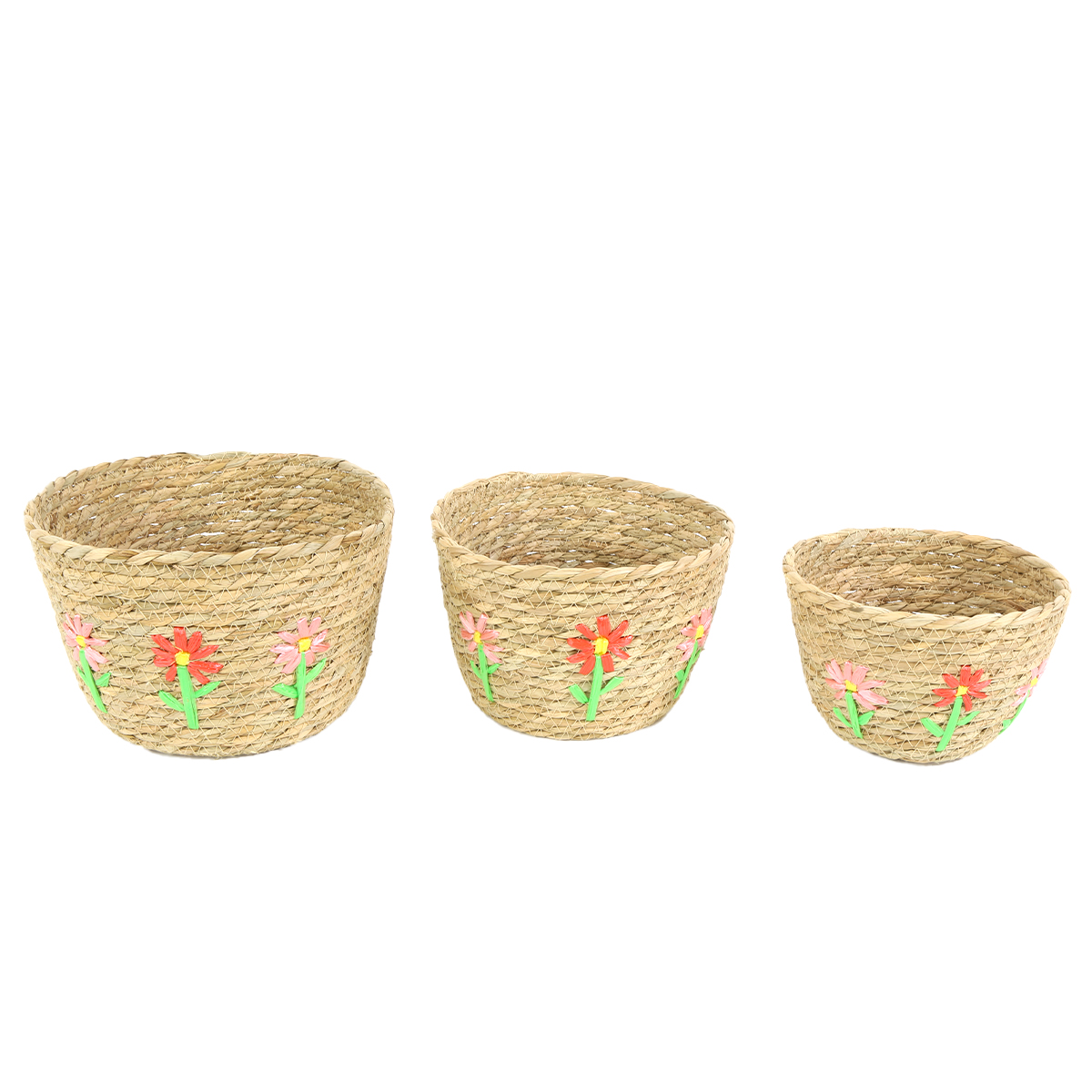 26755-2_01JNJWTNRYECJTTMT7R1H43KTHkCQi0teG3Milo