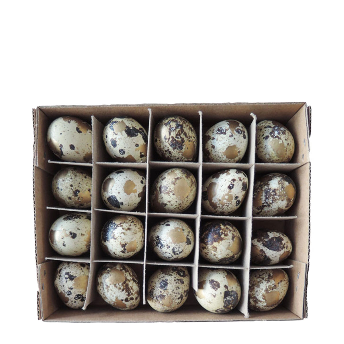 Natur Wachtel Eier, gesprenkelt gold/natur, 20St/Box 