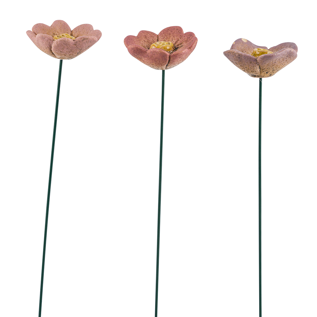 12502339_01JJH0JQSGDKWFXCTKTQQJ4R5NaRLVGDfJURH9O