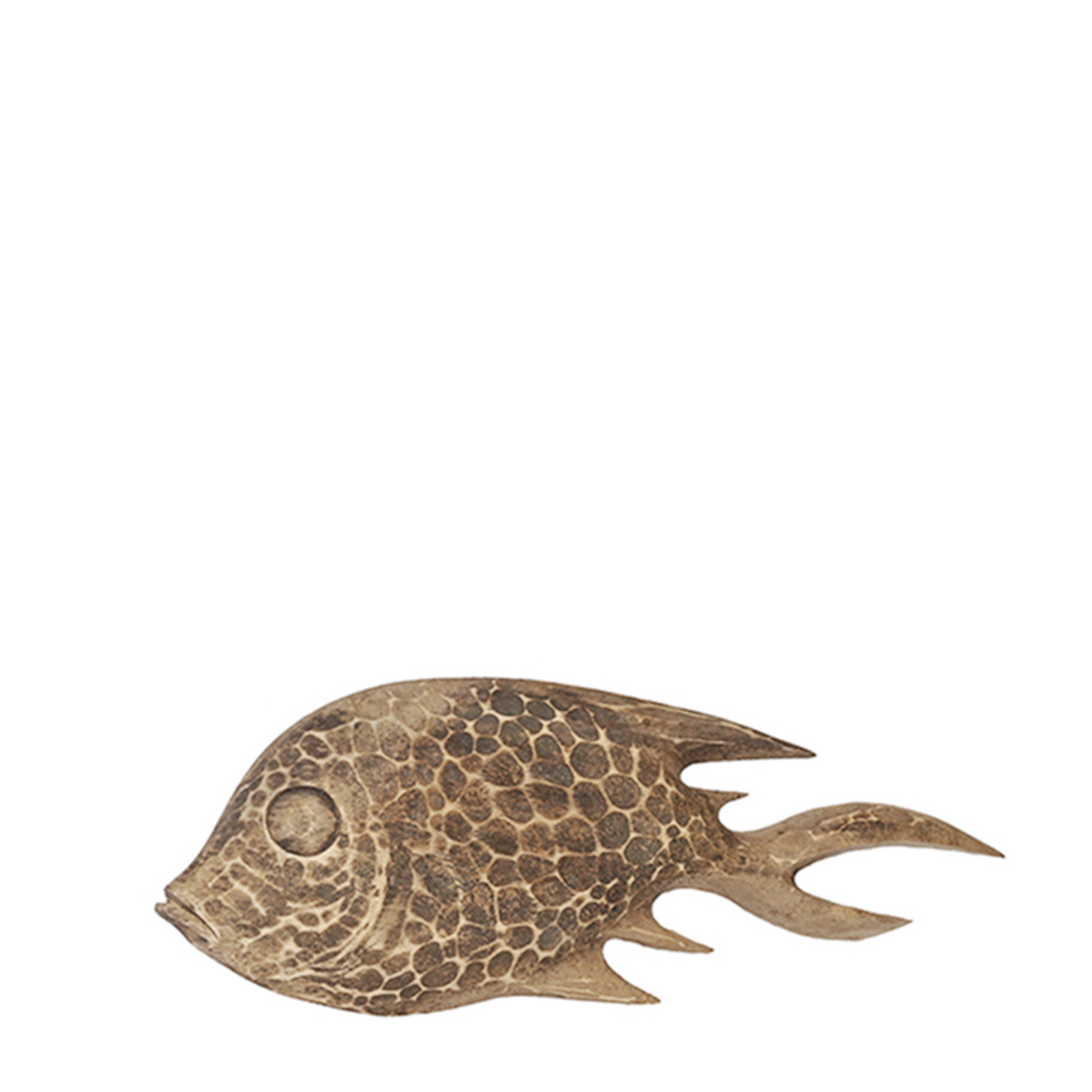 Deko Fisch Gurame, Holzfisch, 45cm, WMG Grünberger