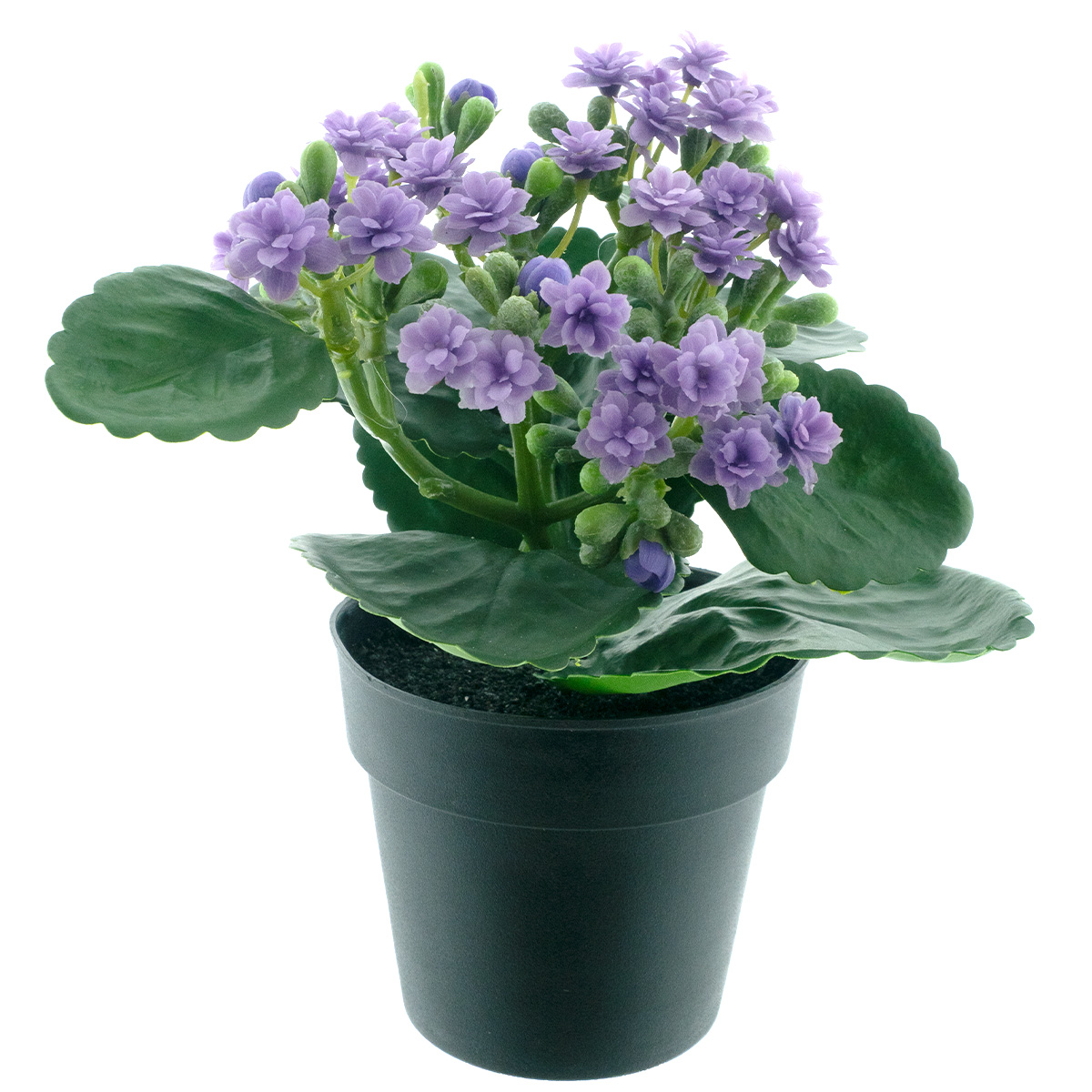 Kunstpflanze Flammendes Käthchen purple, Kalanchoe im schwarzen Topf, 20cm