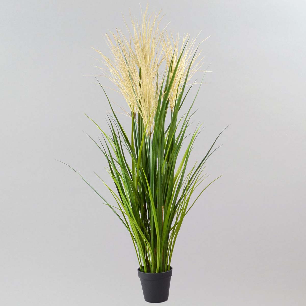 Kunstpflanze Schilfgras im Topf, 75cm