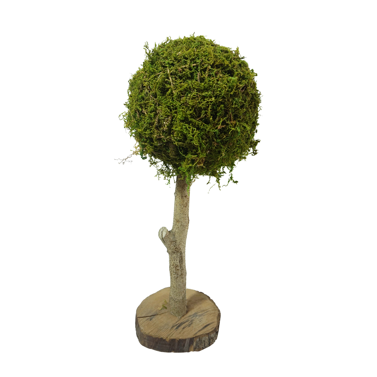 Deko Moosbaum Aride, Mooskugel auf Naturholzstamm, 40cm
