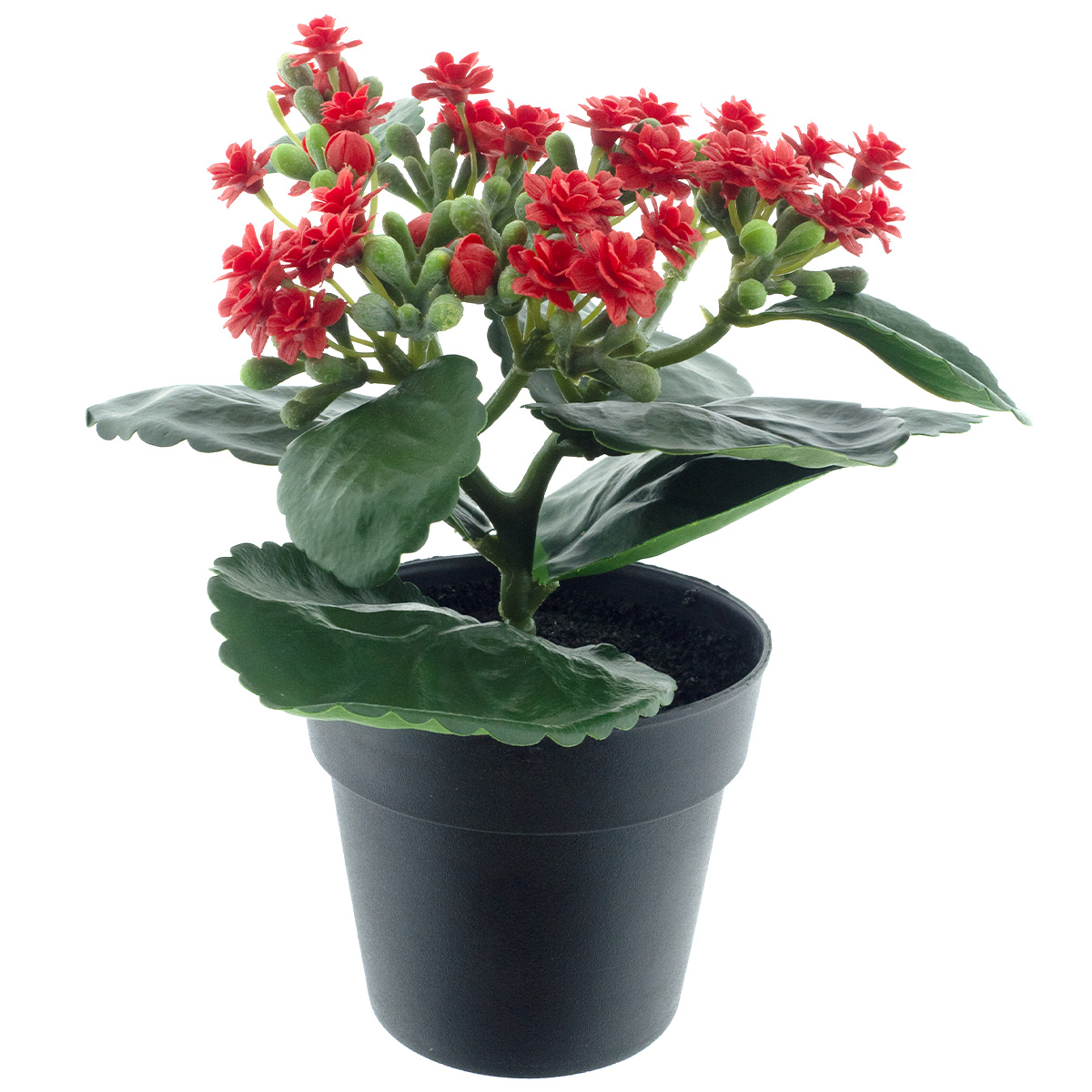 Kunstpflanze Flammendes Käthchen rot, Kalanchoe im schwarzen Topf, 20cm