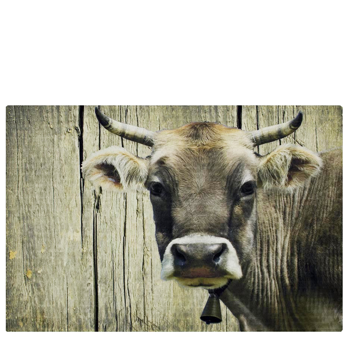 Textil Fußmatte Kuh, Schweizer Kuh, 75x50cm, Mars & More