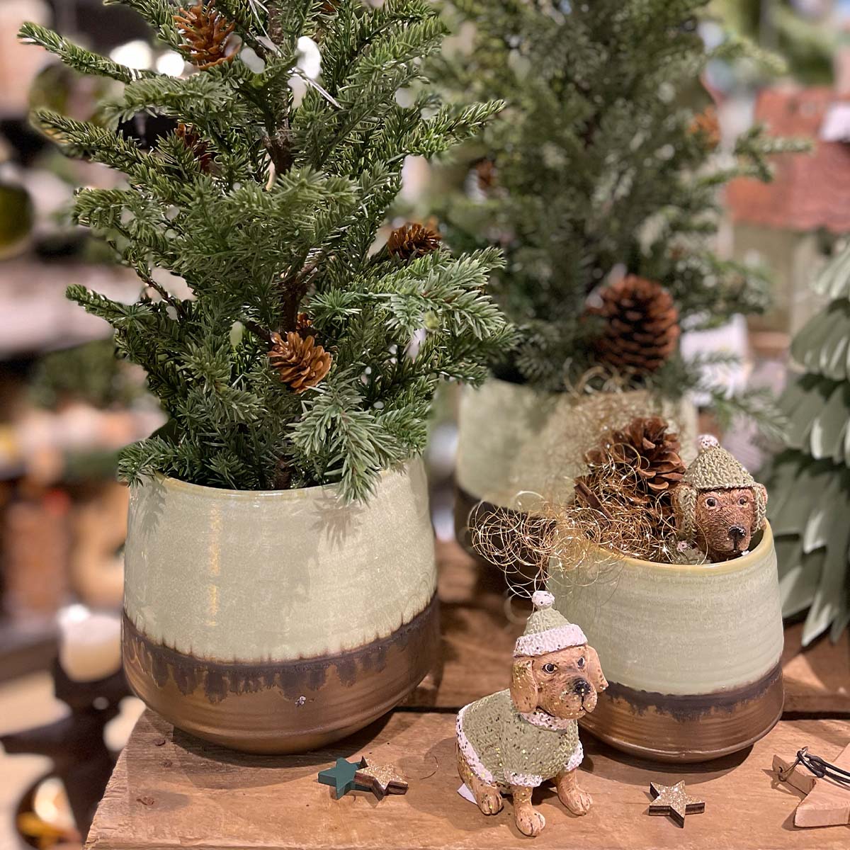 05141_01JDJ1ZBPX4E1H5H3MMCAM8NBZHPh4gI06ZJF61