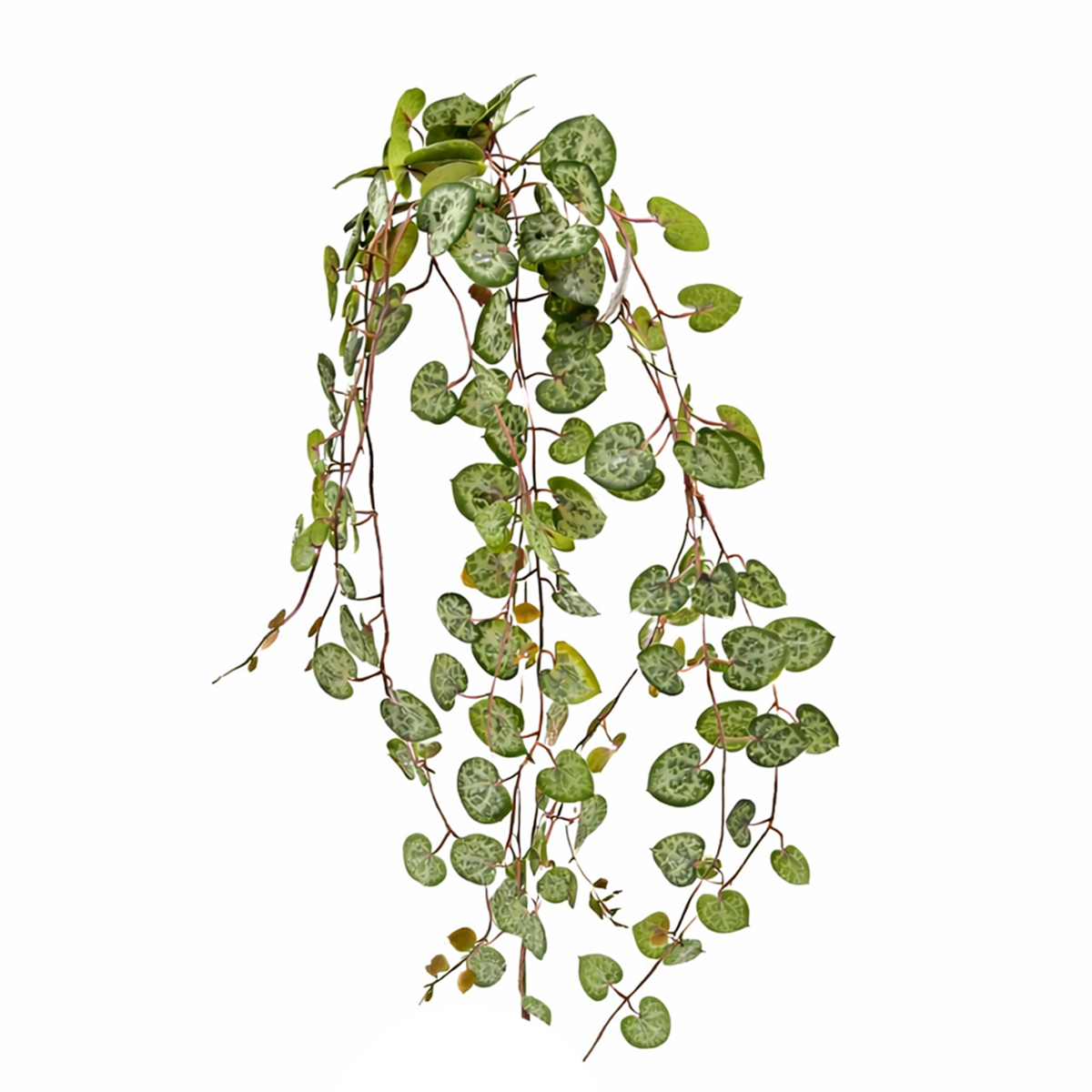 Kunstpflanze Begonienblatt-Hänger, grün-grau, 55cm