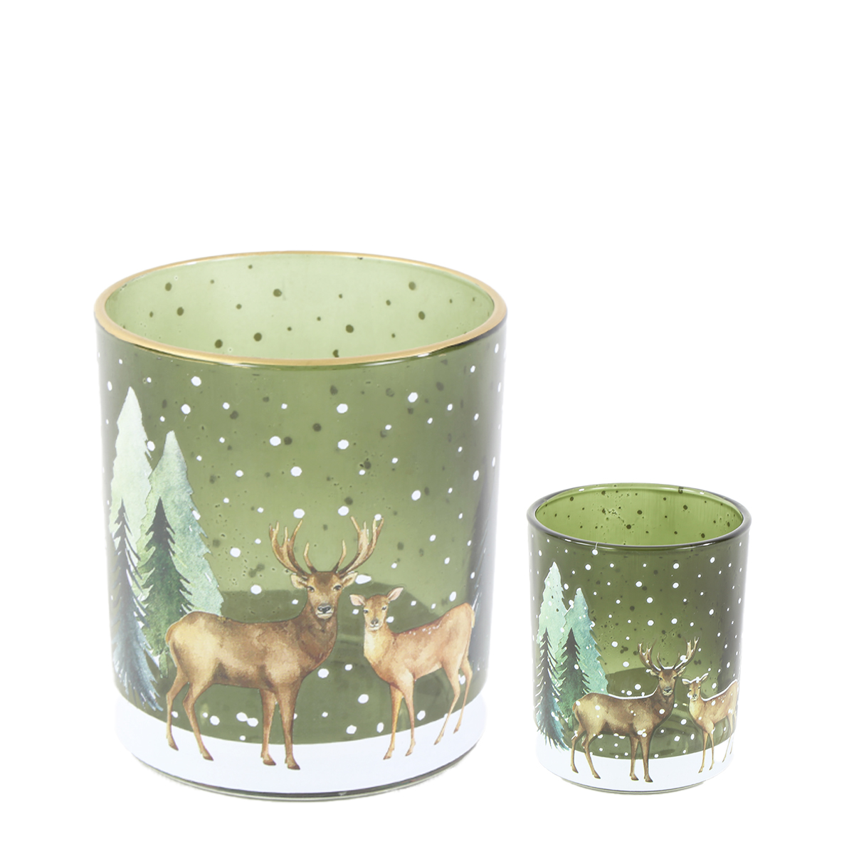 04264_01J964GEVR8EB2MRBZ7BA2F6NQXf8B9zA1cMLk7