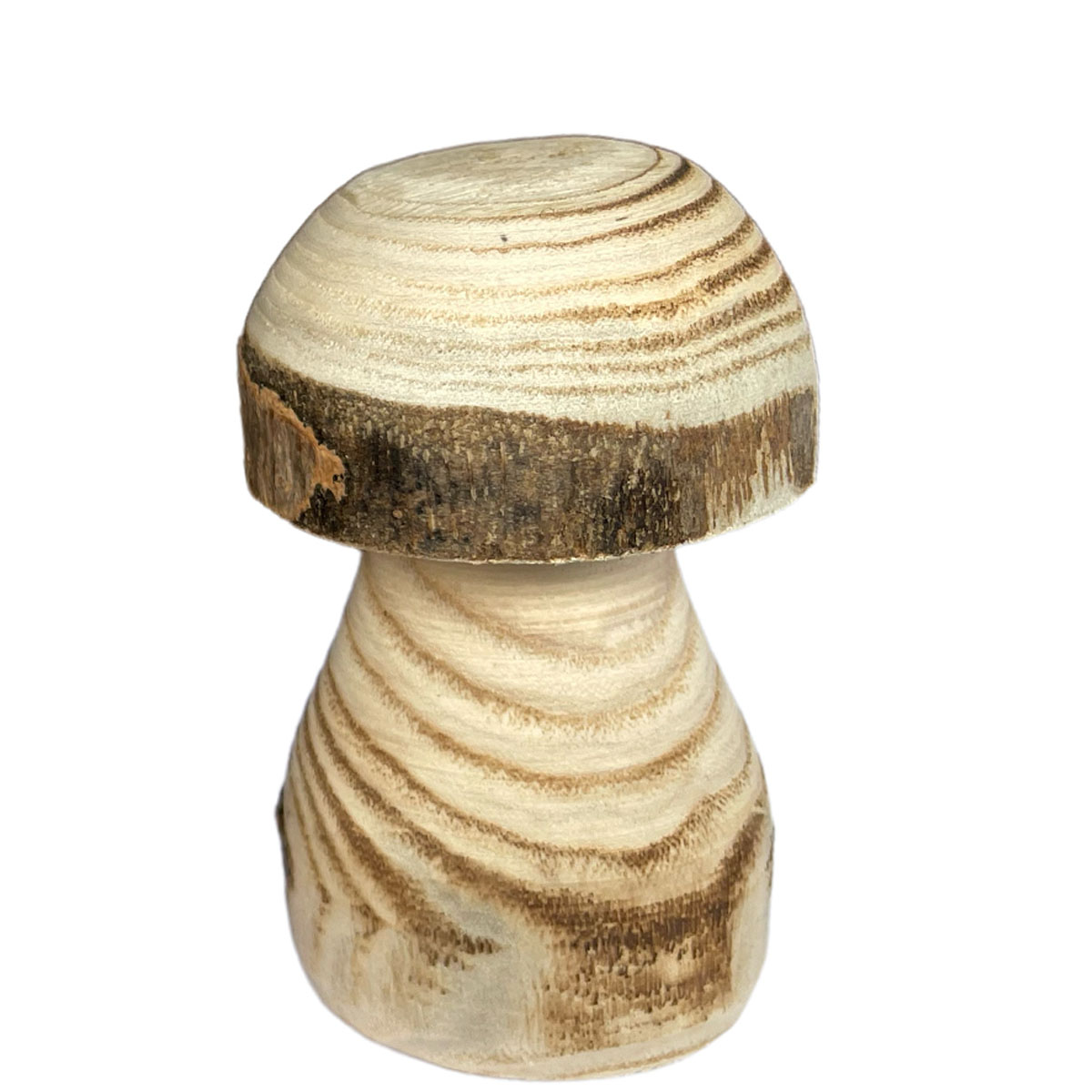 Deko Pilz Naturholz, Holzpilz Natur mit runder Kappe, 10cm