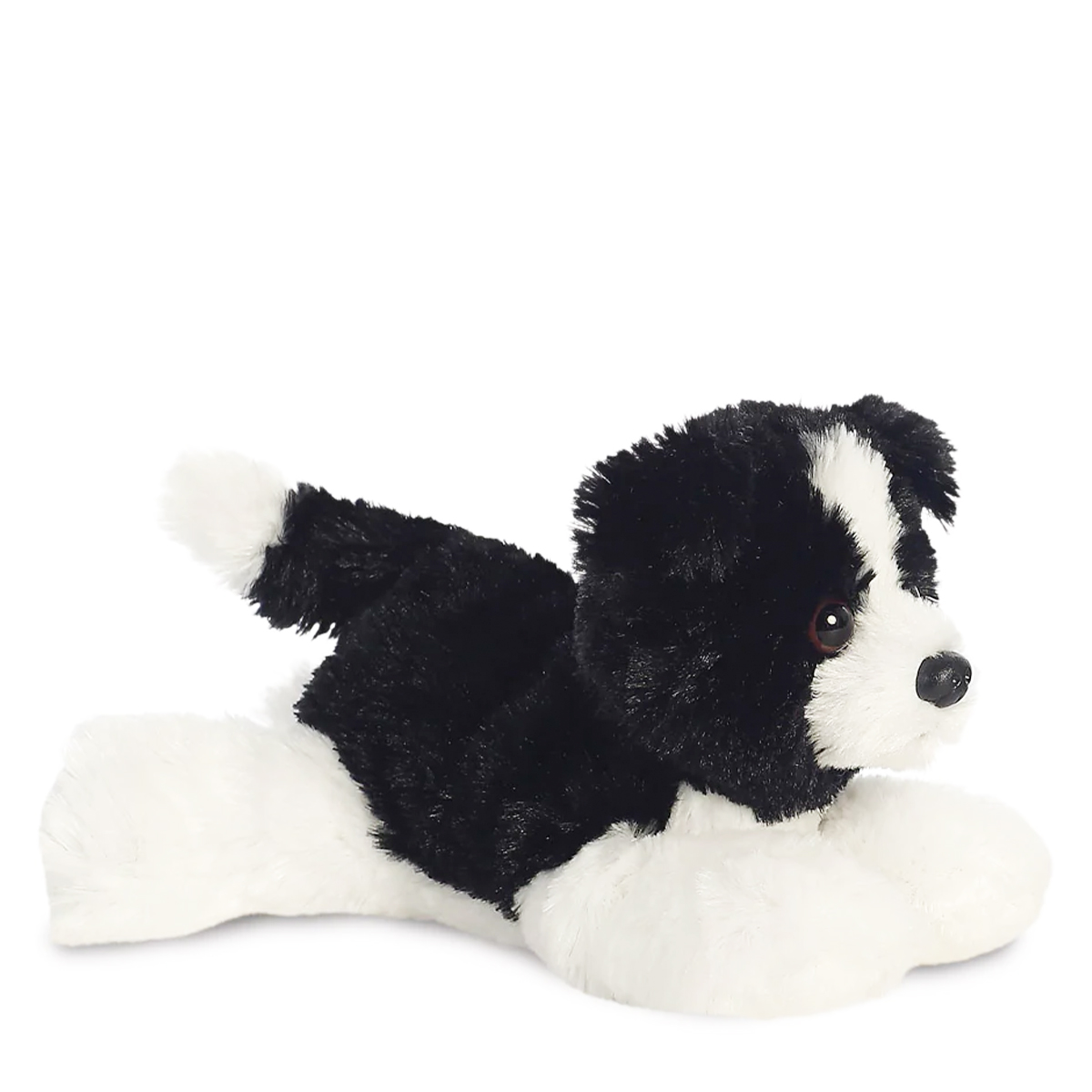 31717_01K1K7CEYV3J8N56Y4JVE7QKYCuKBOZbV6KnKo6 Plüsch Hund, Border Collie Cami, schwarz-weiß, Mini Flopsies, 20cm, Aurora World