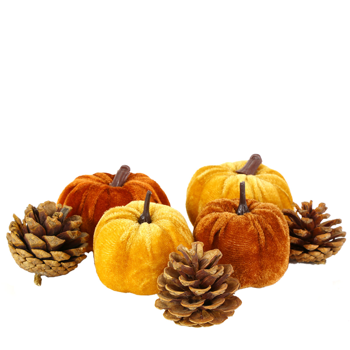 03130_01JA8EK50M7VCBDX11WET9RM7PbSvcHEKt7hwaD